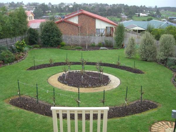 SUPERB PRESENTATION Picture 3