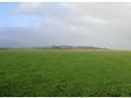 340 ACRE GRAZING PROPERTY $4,500 per acre Picture