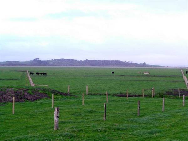 340 ACRE GRAZING PROPERTY $4,500 per acre Picture 2