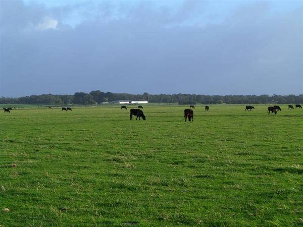 340 ACRE GRAZING PROPERTY $4,500 per acre Picture 1