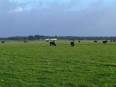 340 ACRE GRAZING PROPERTY $4,500 per acre Picture