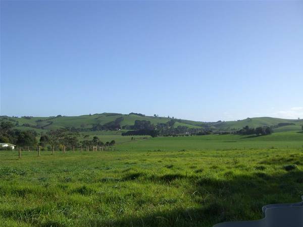 BEAUTY IN DUMBALK Picture 3