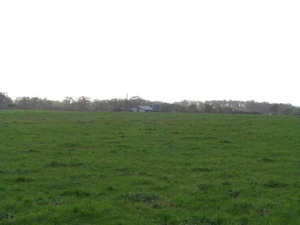 420 ACRES DAIRY / GRAZING $6000 PER ACRE Picture 1