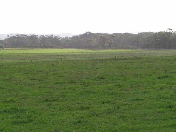 420 ACRES DAIRY / GRAZING $6000 PER ACRE Picture 2