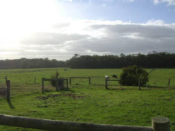 420 ACRES DAIRY / GRAZING $6000 PER ACRE Picture 3