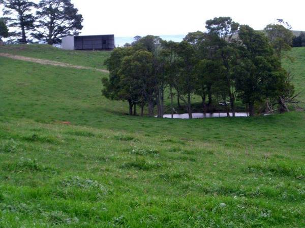 LOOK AT THE PRICE Picture 2