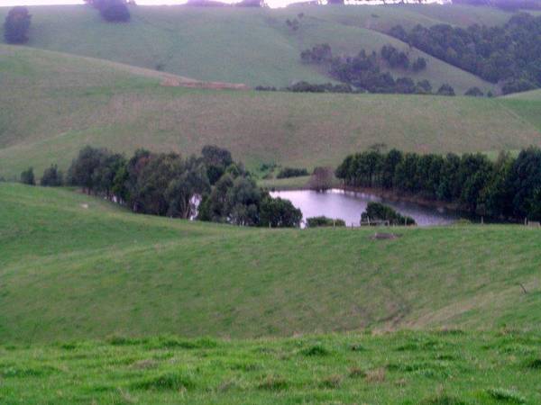 LOOK AT THE PRICE Picture 1