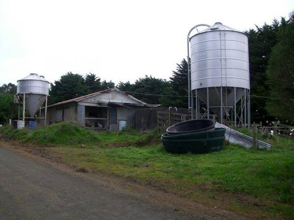 LOOK AT THE PRICE Picture 3