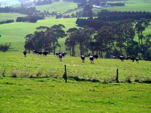 BREATHTAKING VIEWS Picture 2