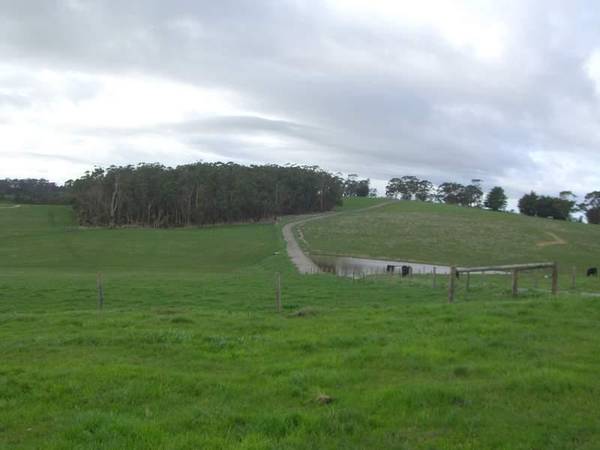 SUPERB LIFESTYLE BLOCK WITH PLANNING PERMIT!! Picture