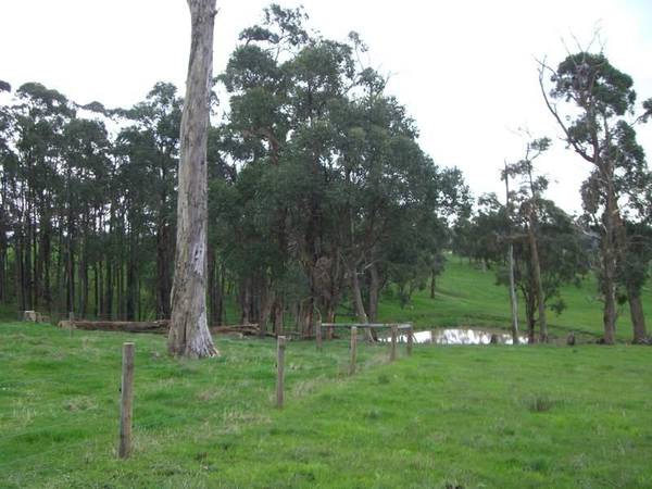 SUPERB LIFESTYLE BLOCK WITH PLANNING PERMIT!! Picture