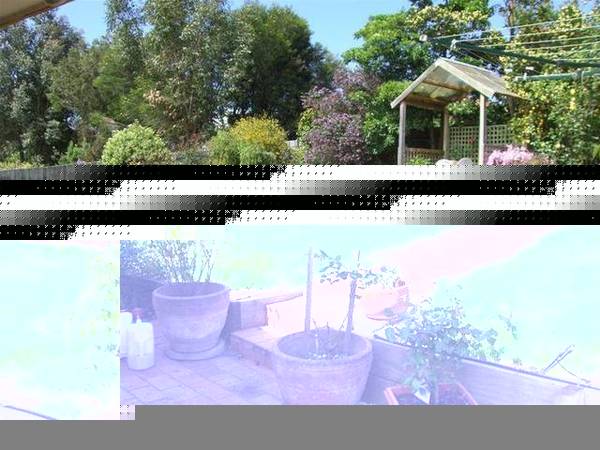 OOZES CHARM AND APPEAL Picture 2