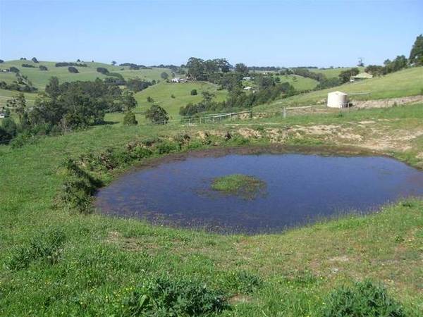 PRICE REDUCED 18.5 ACRES Picture 1