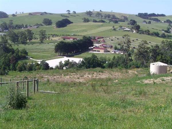 PRICE REDUCED 18.5 ACRES Picture 3