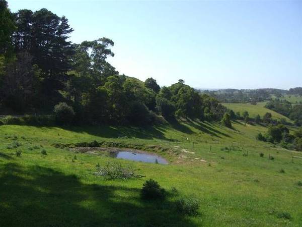 PRICE REDUCED 18.5 ACRES Picture 2