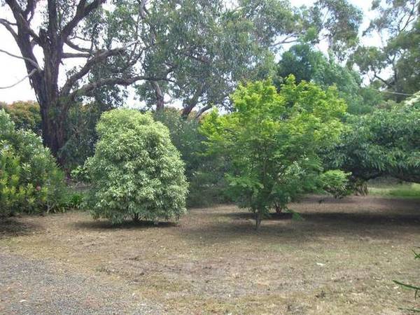 1ST HOME BUYERS LOOKING FOR SPACE Picture 2