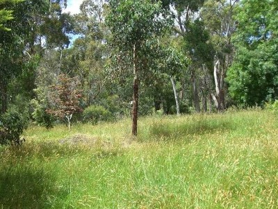 KOONWARRA VILLAGE LIFESTYLE Picture