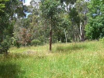 KOONWARRA VILLAGE LIFESTYLE Picture