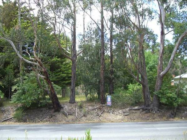 KOONWARRA VILLAGE LIFESTYLE Picture 3