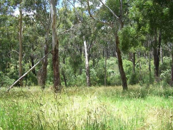 KOONWARRA VILLAGE LIFESTYLE Picture 2