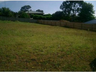 SILVERBACK PLACE Picture