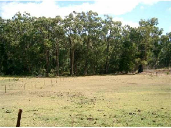 Mirboo North Picture 1