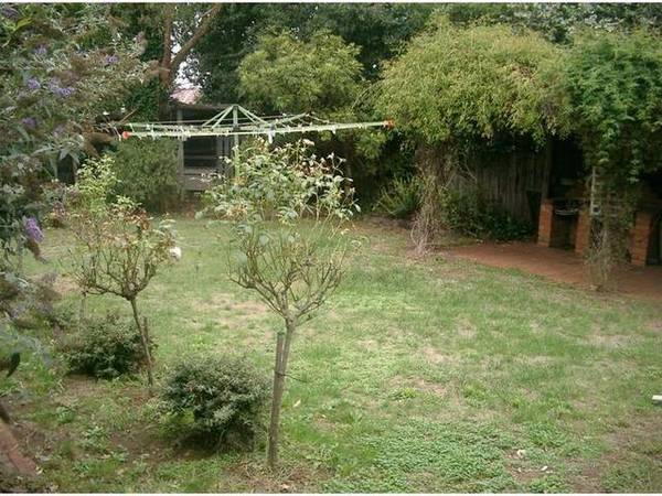 ONE FOR SERIOUS CONSIDERATION Picture 3