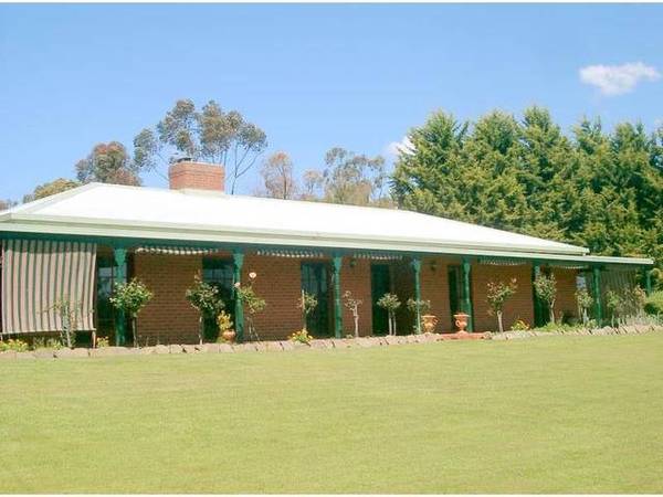 THE ONLY WAY TO LIVE Picture 1