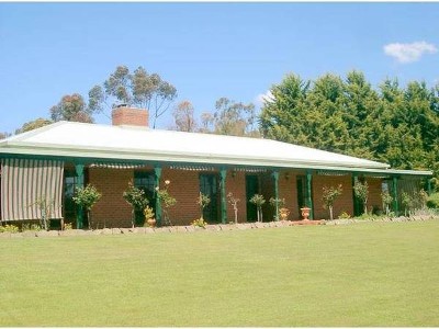 THE ONLY WAY TO LIVE Picture