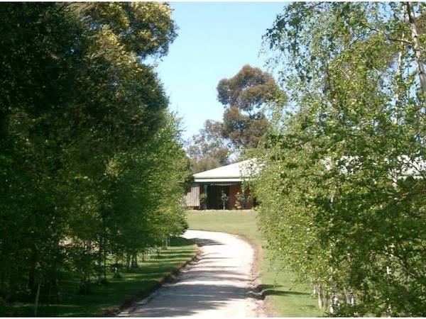 THE ONLY WAY TO LIVE Picture 2