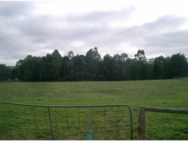 1 ACRE BLOCKS IN TOWN Picture 2