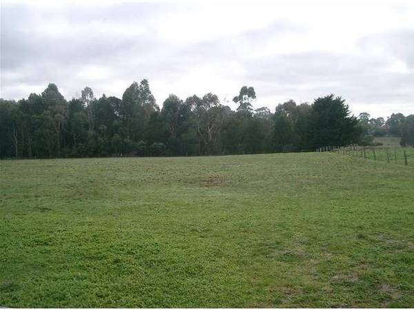 1 ACRE BLOCKS IN TOWN Picture 1