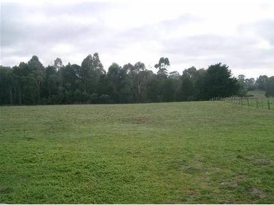 1 ACRE BLOCKS IN TOWN Picture