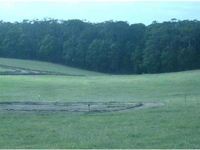 1 ACRE ALLOTMENTS Picture