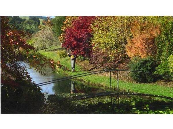 COUNTRY LIVING AT ITS BEST Picture 2