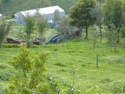 HARD TO FIND Picture