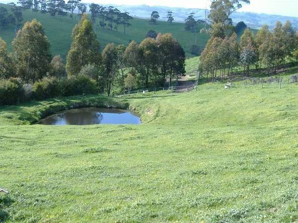 HARD TO FIND Picture 2