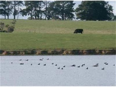 SPRINGS ESTATE Picture