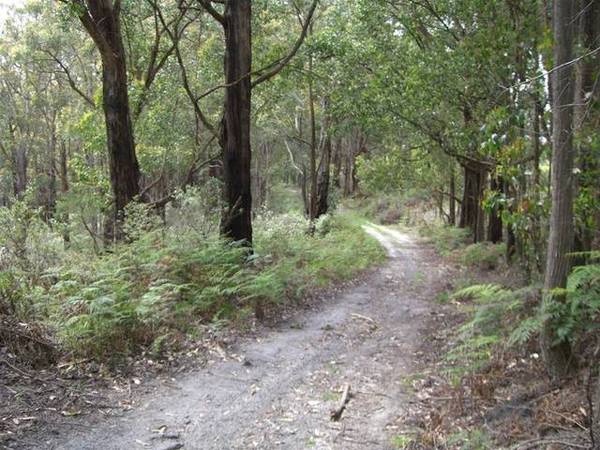 156 ACRES OF STUNNING BUSH Picture 1