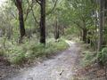 156 ACRES OF STUNNING BUSH Picture