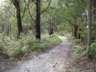 156 ACRES OF STUNNING BUSH Picture