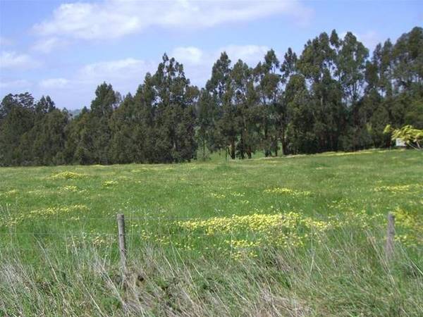 HUGE BLOCK ON EDGE OF TOWN Picture 1