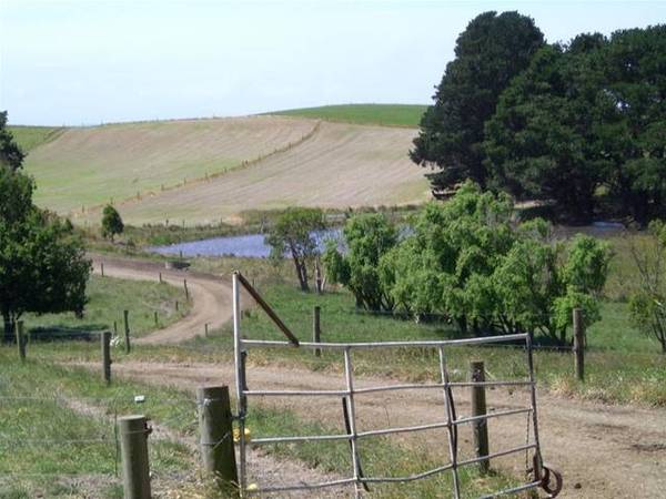 SOUTH GIPPSLAND ENTRY LEVEL DAIRY FARM Picture 2