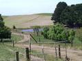 SOUTH GIPPSLAND ENTRY LEVEL DAIRY FARM Picture