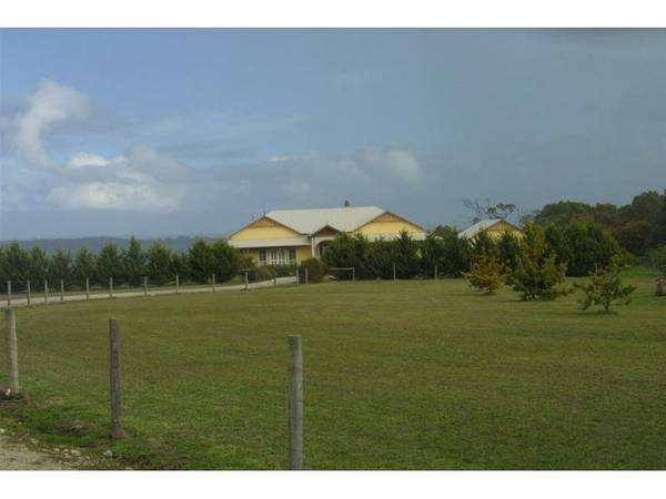 EDWARDIAN REVIVAL Picture 1