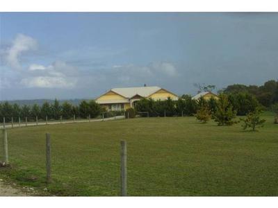 EDWARDIAN REVIVAL Picture EDWARDIAN REVIVAL Picture