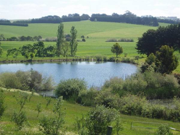 Superb 101 Acres with 130meg water licence Picture 1