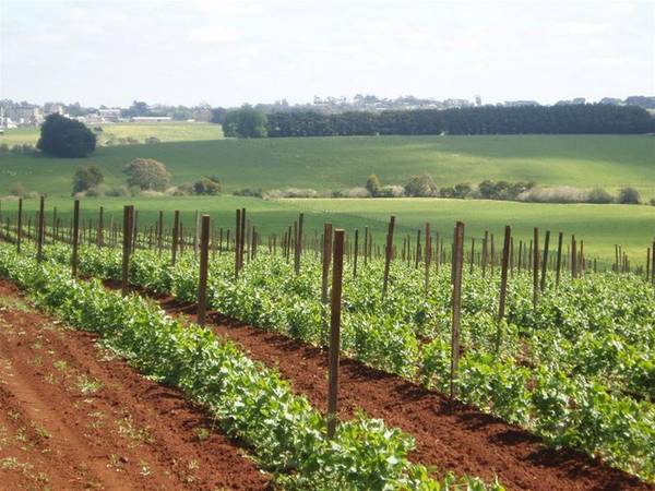 Superb 101 Acres with 130meg water licence Picture 3