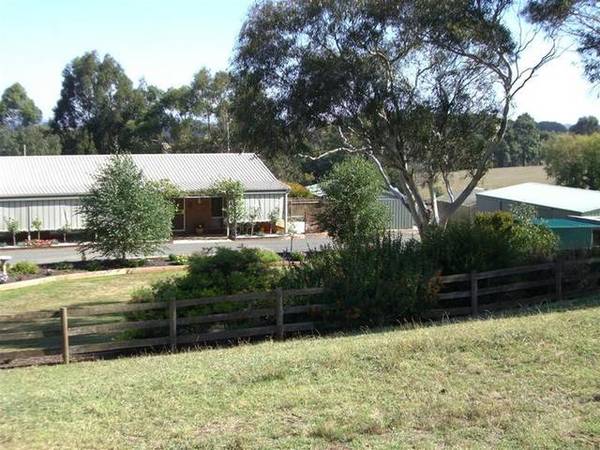 RURAL LIFE IN TOWN Picture 3