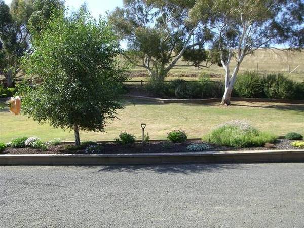 RURAL LIFE IN TOWN Picture 1